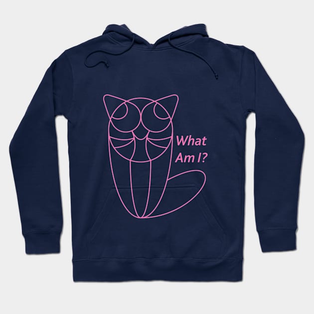 What Am I? Hoodie by sumlam